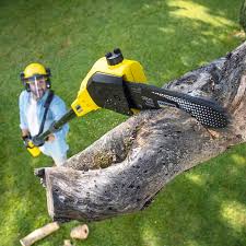 Best Tree and Shrub Care  in Richfield, UT