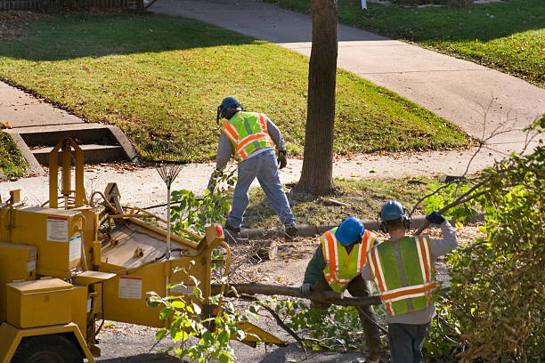 Best Commercial Tree Services  in Richfield, UT